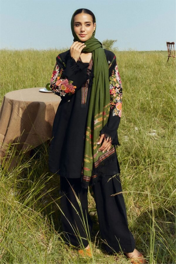 Aisling -Winter 3PC Dhanak suit with Embroidered Shawl